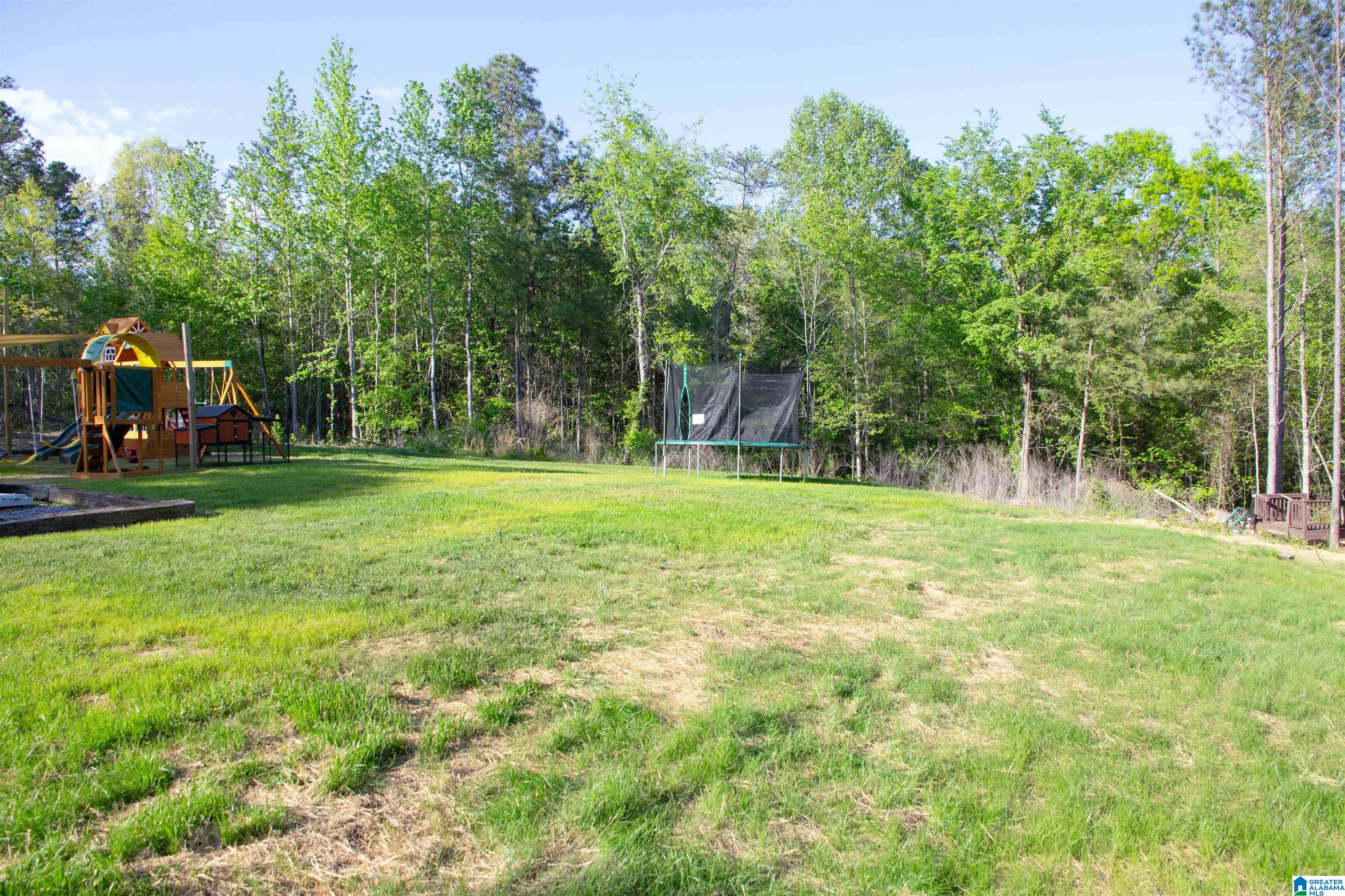 139 Tree Line Drive Odenville, AL 35120 - Photo 5 of 20