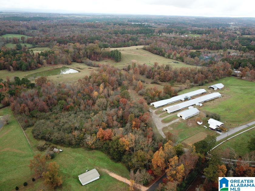 1241 Reneau Road Oneonta, AL 35121 - Photo 14 of 50
