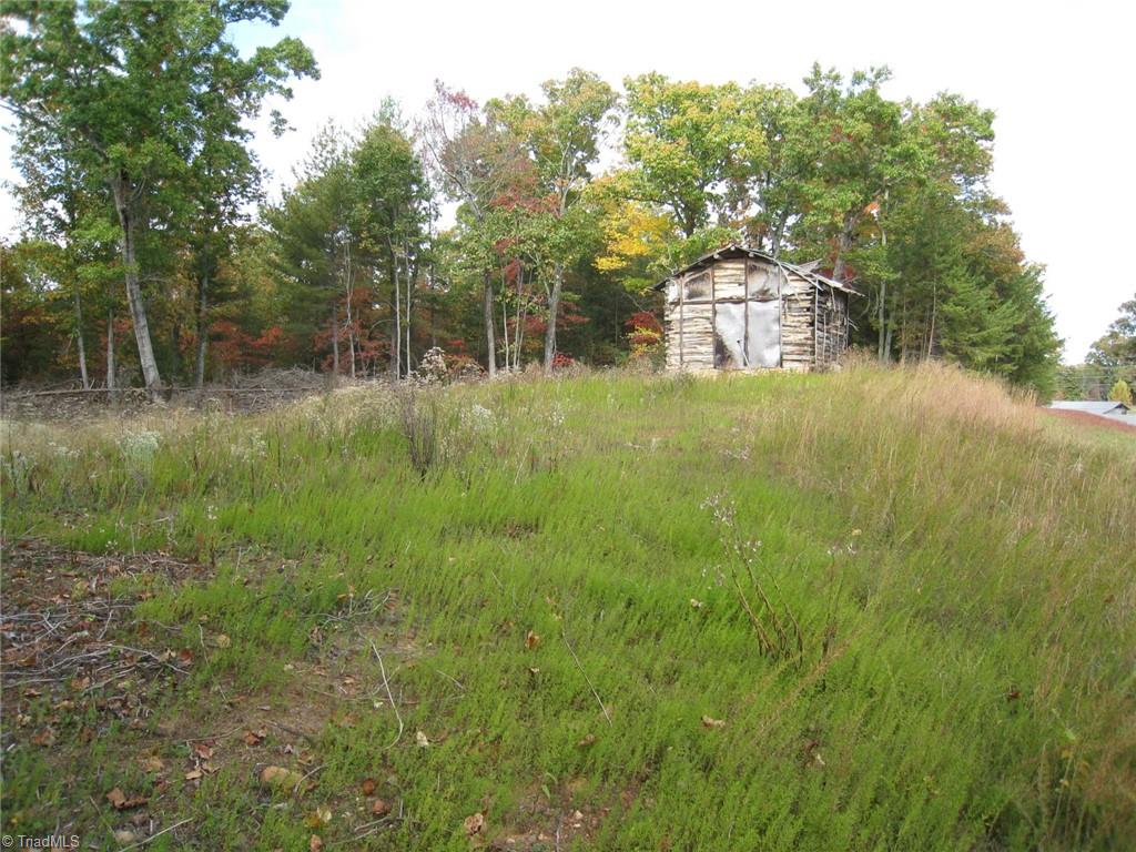 0 Babe Gray Road Westfield, NC 27053 - Photo 1 of 9