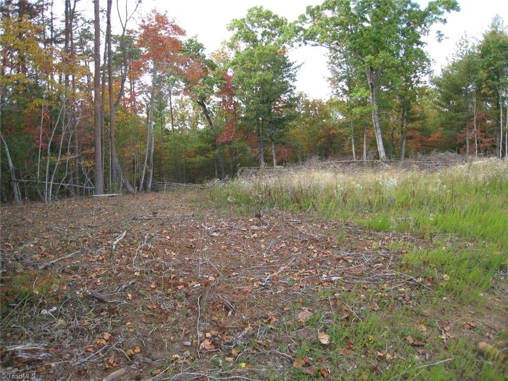 0 Babe Gray Road Westfield, NC 27053 - Photo 2 of 9