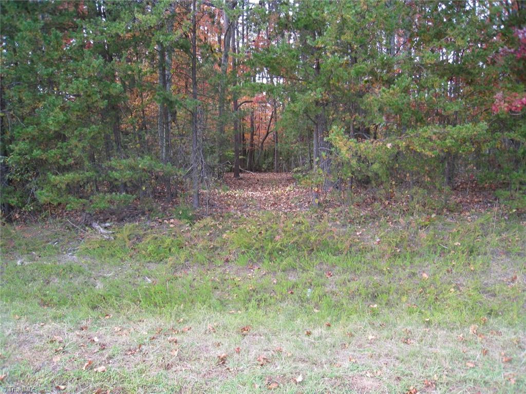 0 Babe Gray Road Westfield, NC 27053 - Photo 3 of 9