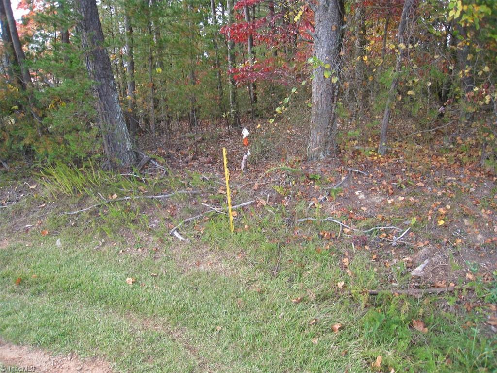 0 Babe Gray Road Westfield, NC 27053 - Photo 4 of 9
