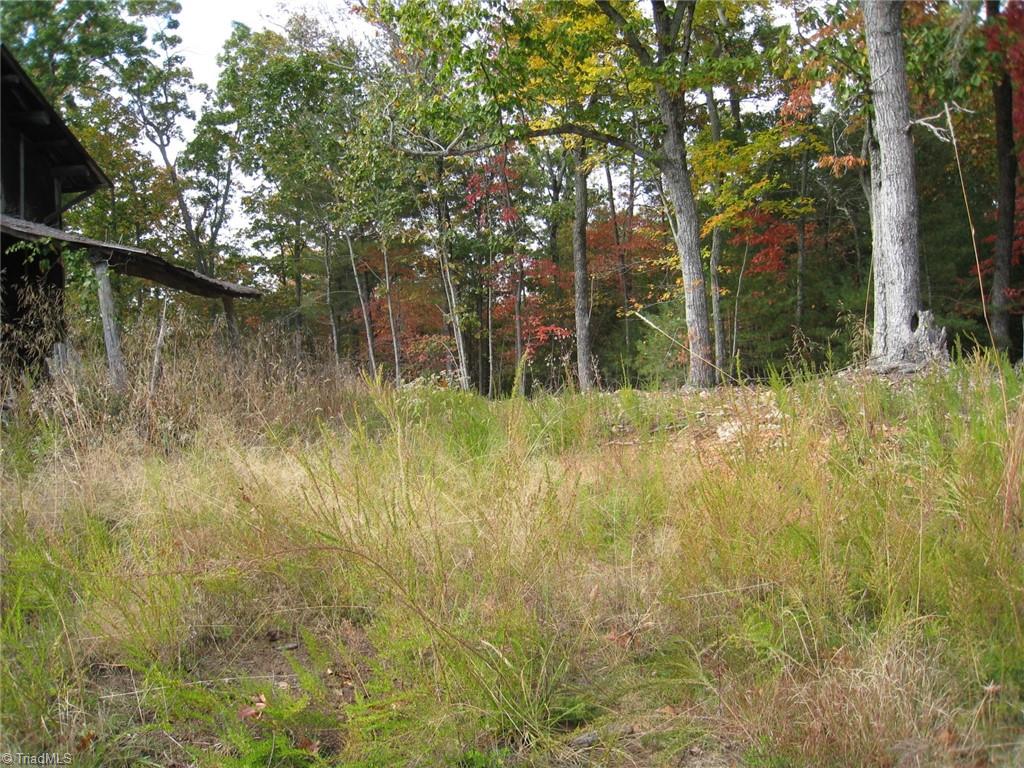 0 Babe Gray Road Westfield, NC 27053 - Photo 6 of 9
