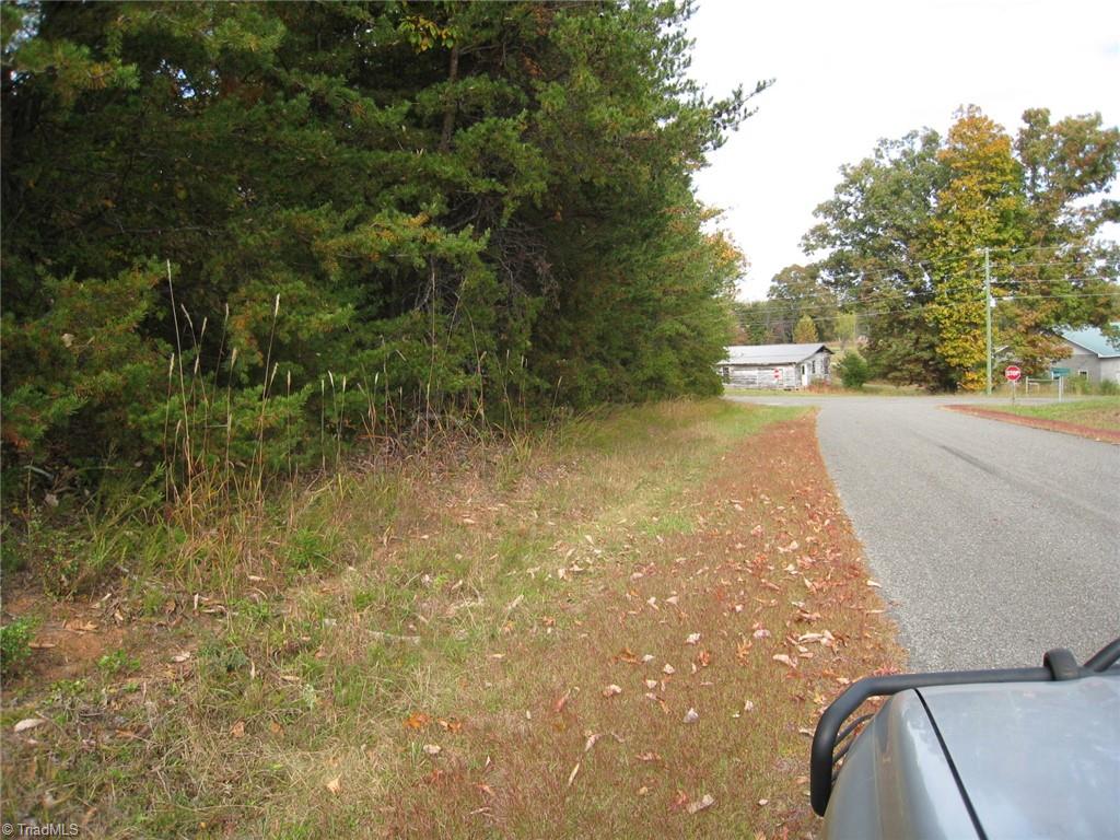 0 Babe Gray Road Westfield, NC 27053 - Photo 7 of 9