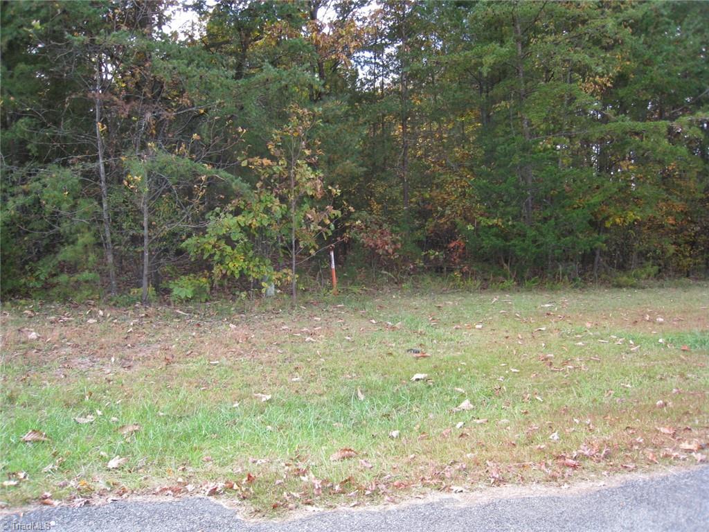 0 Babe Gray Road Westfield, NC 27053 - Photo 8 of 9