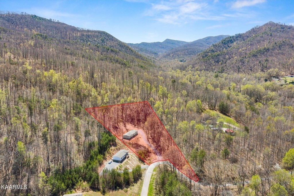 1358 Bluets Road Newport, TN 37821 - Photo 28 of 29 Gallery Image 28