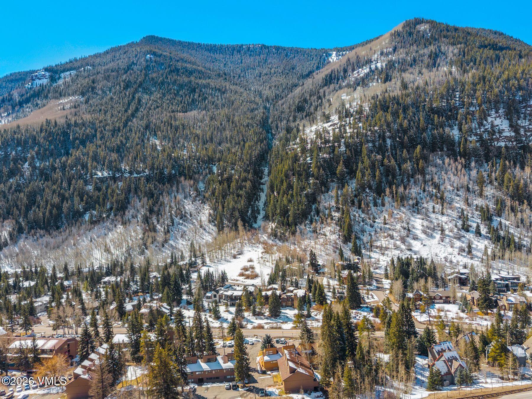 3911 Big Horn Road, Unit 1D Vail, CO 81657 - Photo 30 of 31 a view of a dry yard with trees