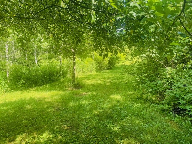 31 Myslivecek Road Lowman, NY 14861 - Photo 36 of 50