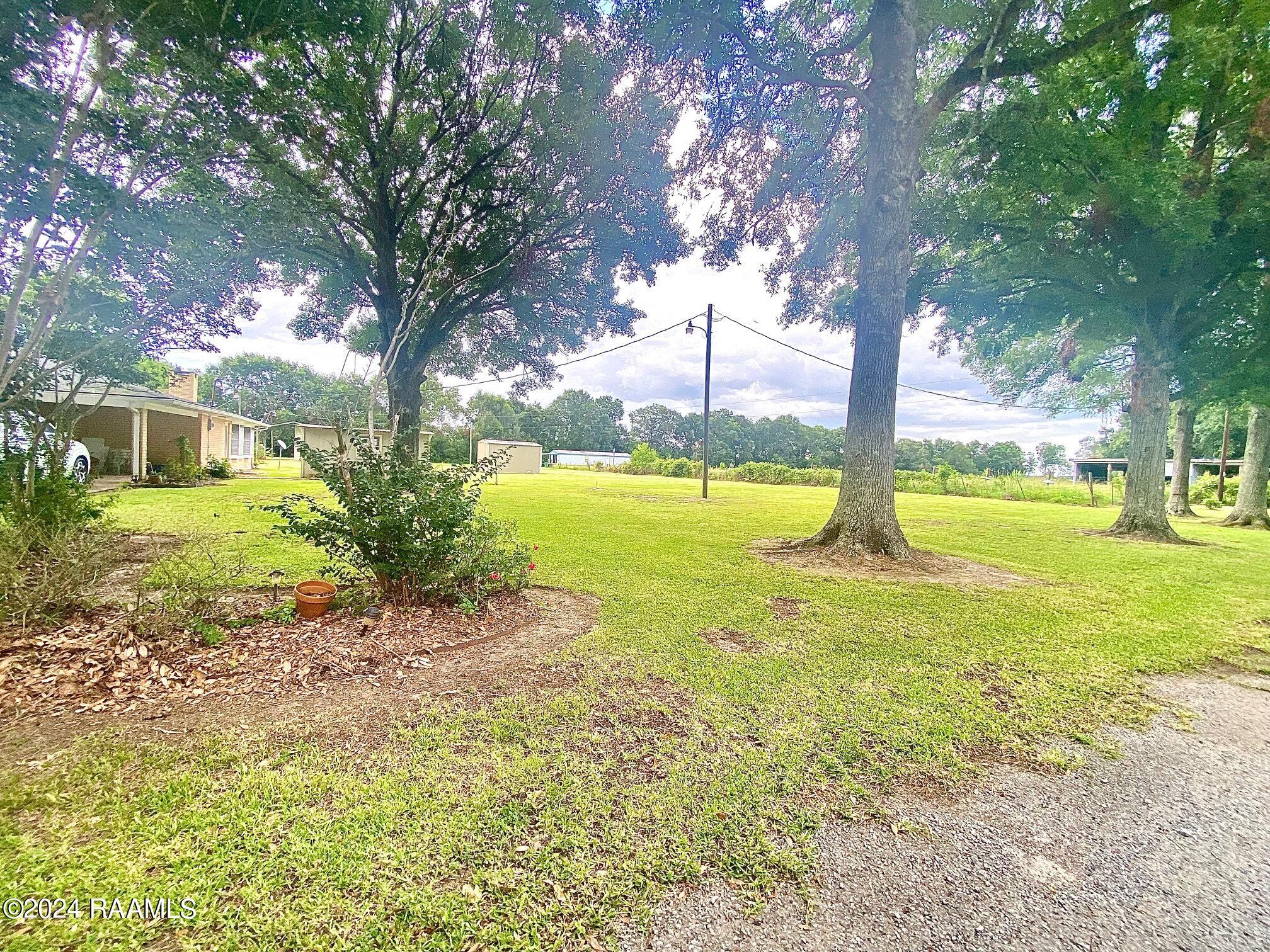 1009 Reggie Road Rayne, LA 70578 - Photo 37 of 40 side yard 2