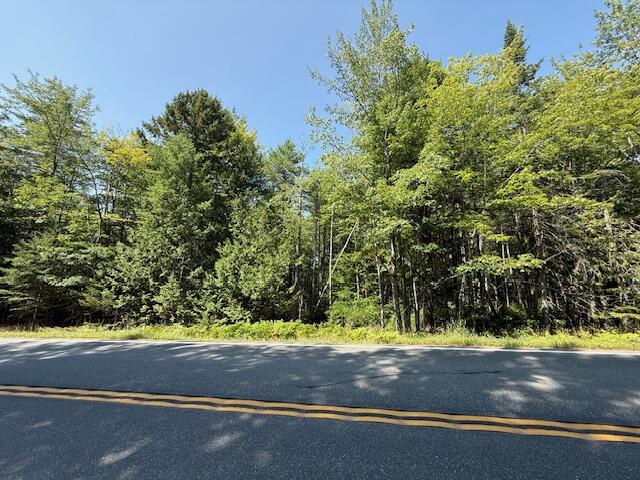377 Front Ridge Road Penobscot, ME 04476 - Photo 2 of 6 IMG_4440