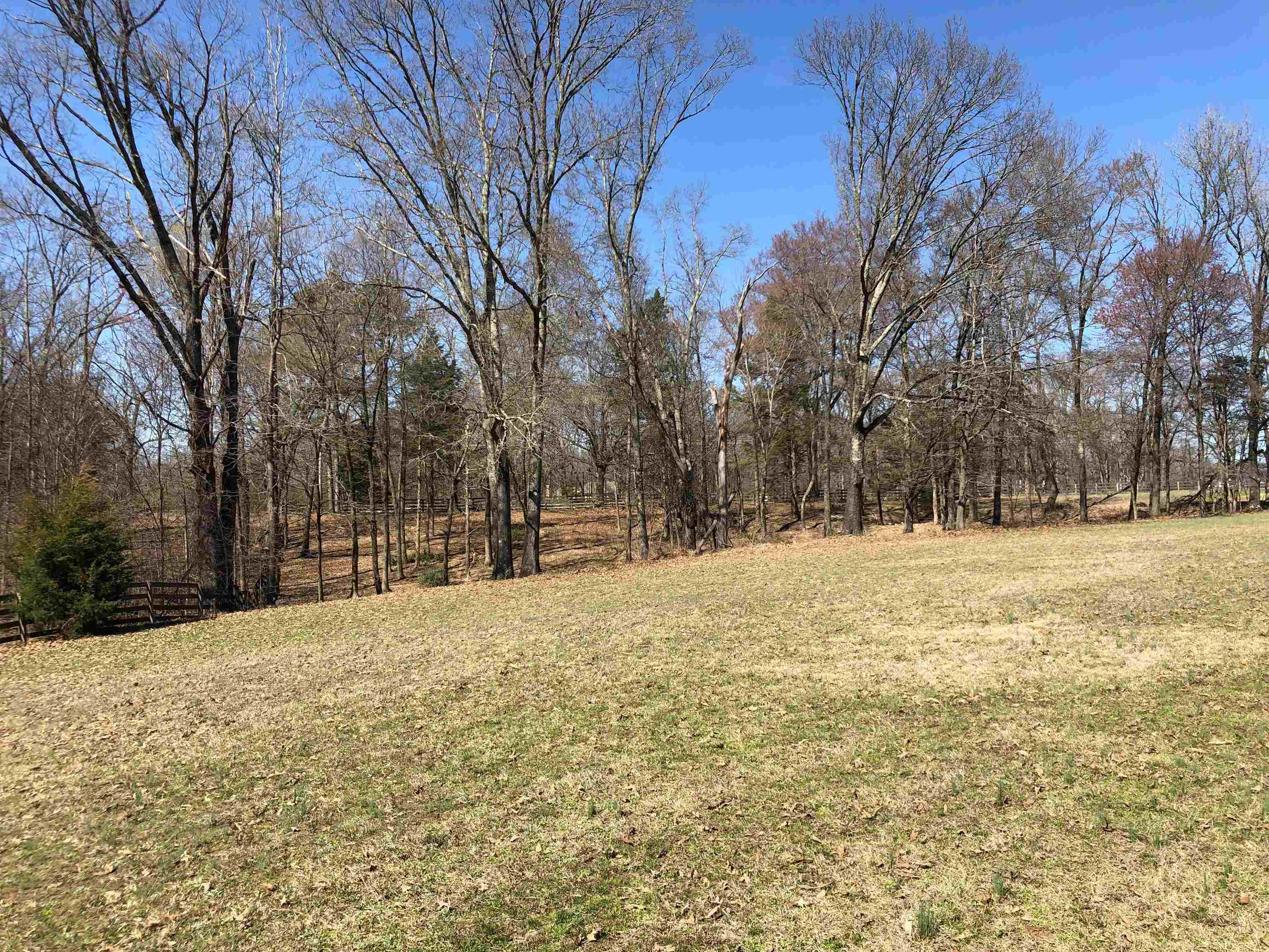 2040 Cherry Road Eads, TN 38028 - Photo 1 of 8 Gallery Image 1
