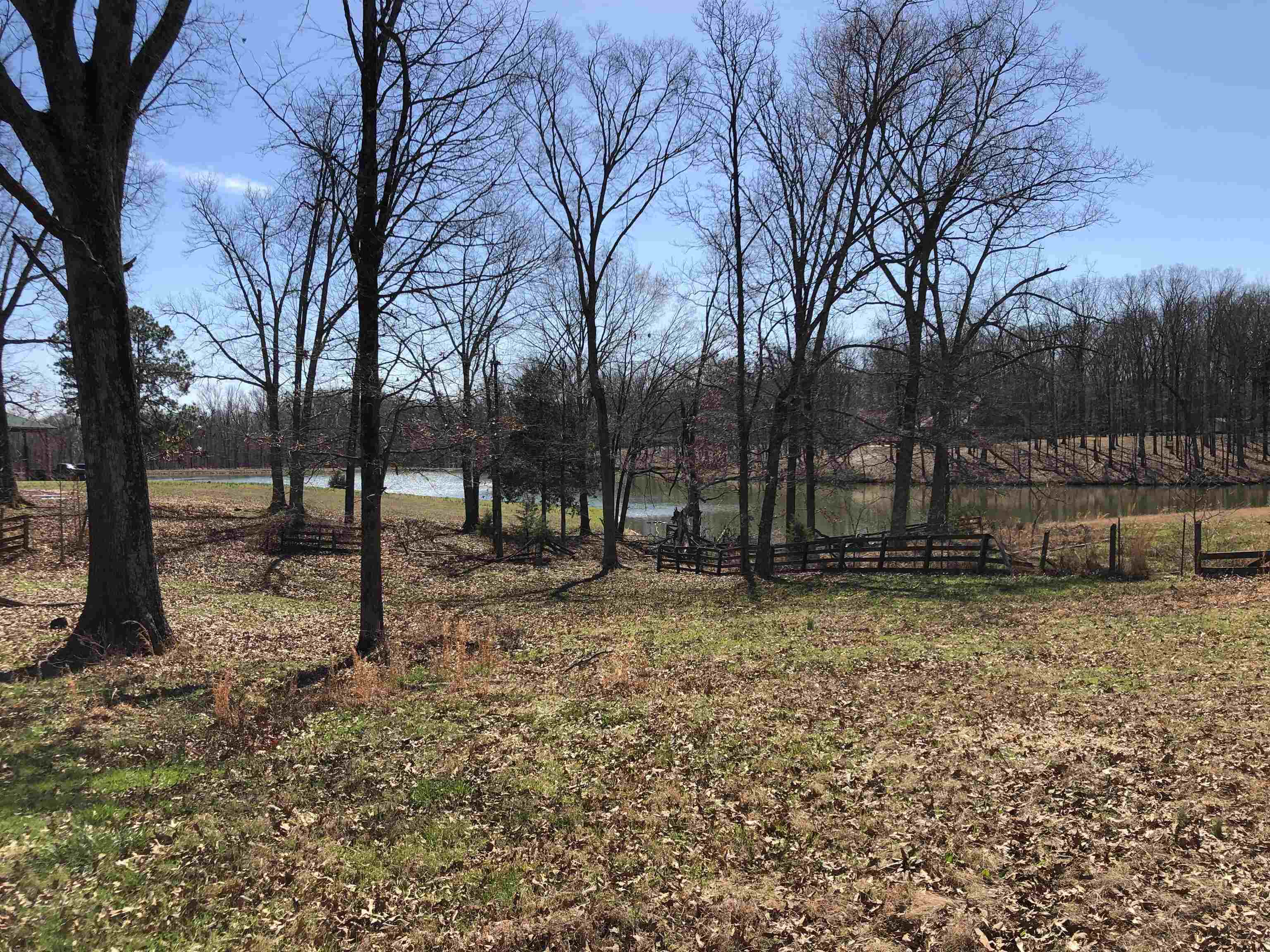 2040 Cherry Road Eads, TN 38028 - Photo 3 of 8 Gallery Image 3