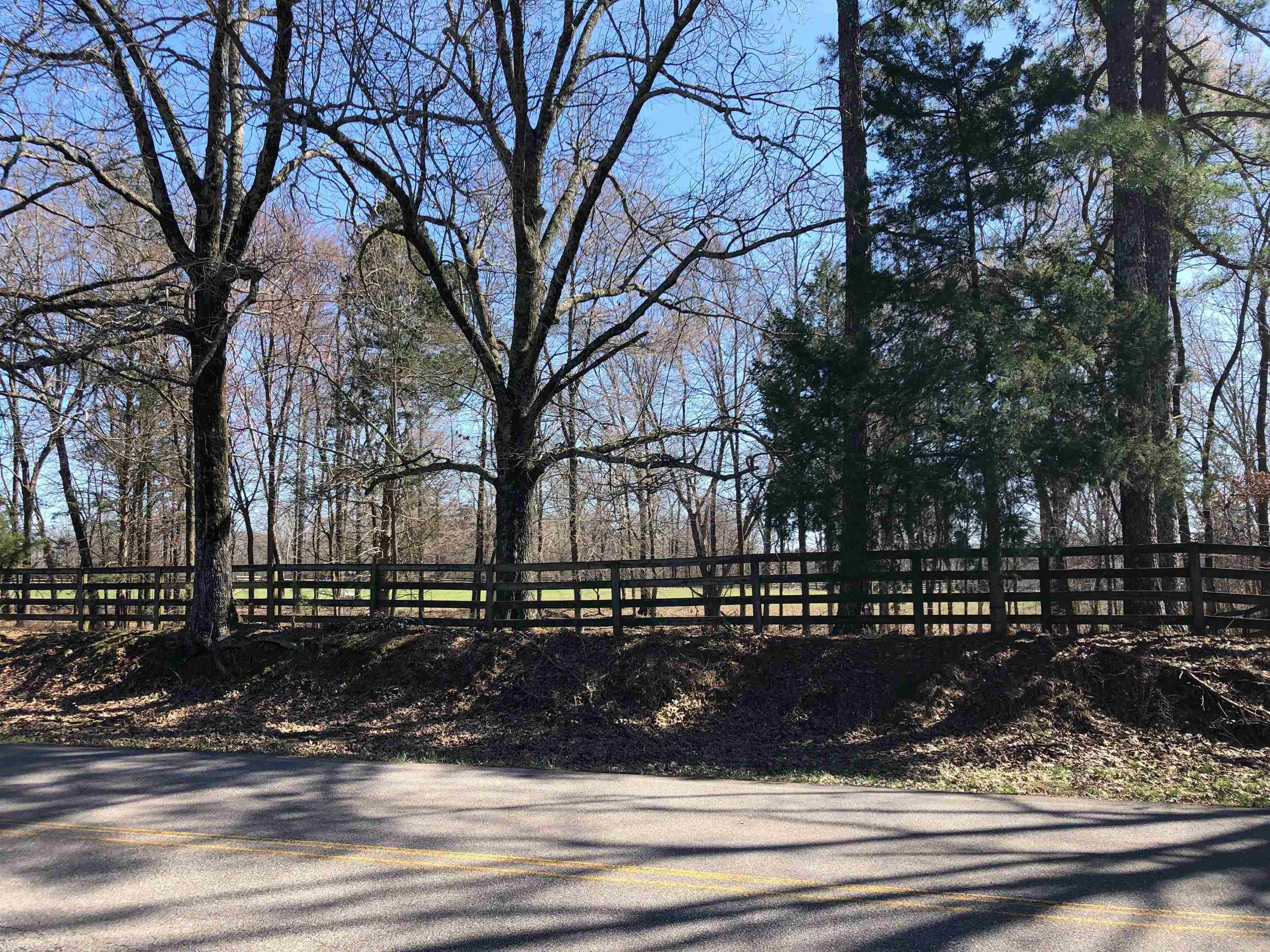 2040 Cherry Road Eads, TN 38028 - Photo 4 of 8 Gallery Image 4