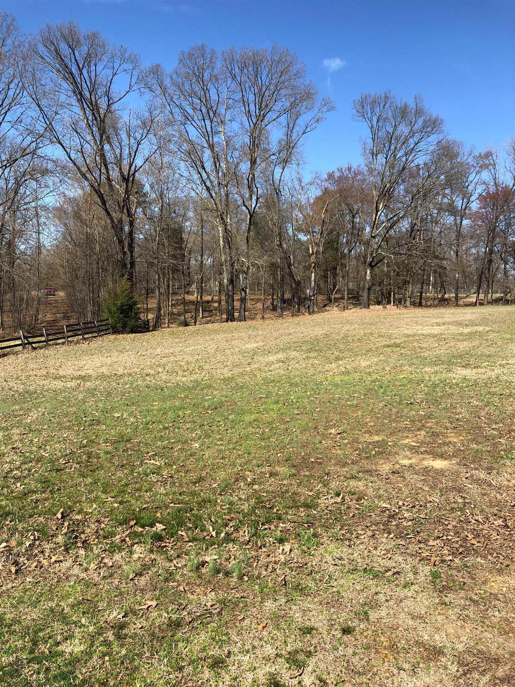 2040 Cherry Road Eads, TN 38028 - Photo 8 of 8 Gallery Image 8