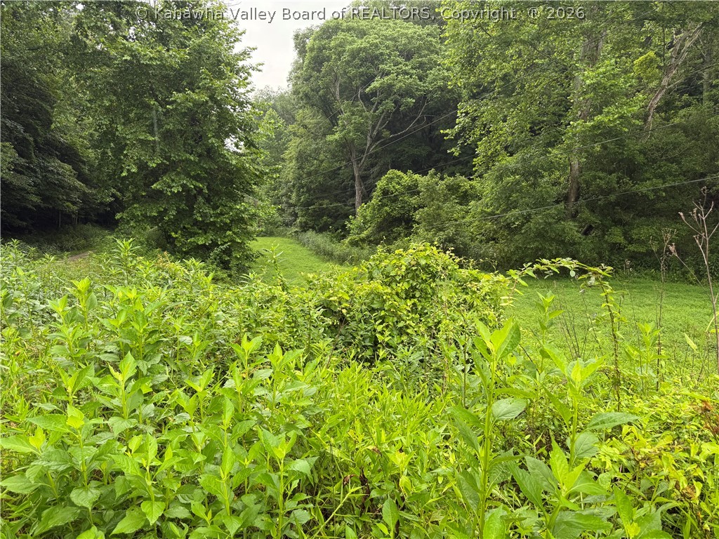 Tbd Upper Mud River Road Alkol, WV 25501 - Photo 7 of 27 Gallery Image 7