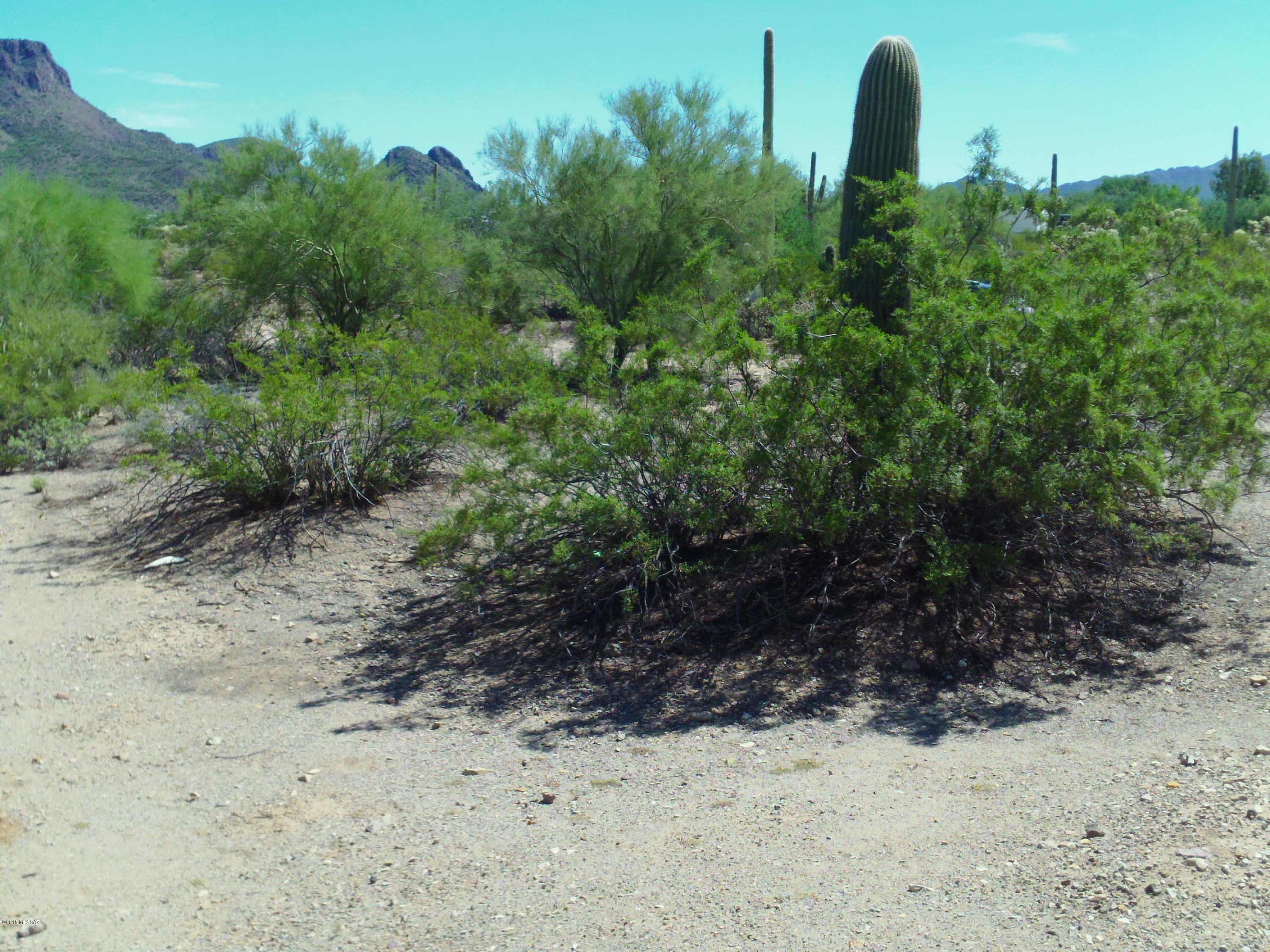 Massingale (roxy Rd) Road Tucson, AZ 85743 - Photo 7 of 11