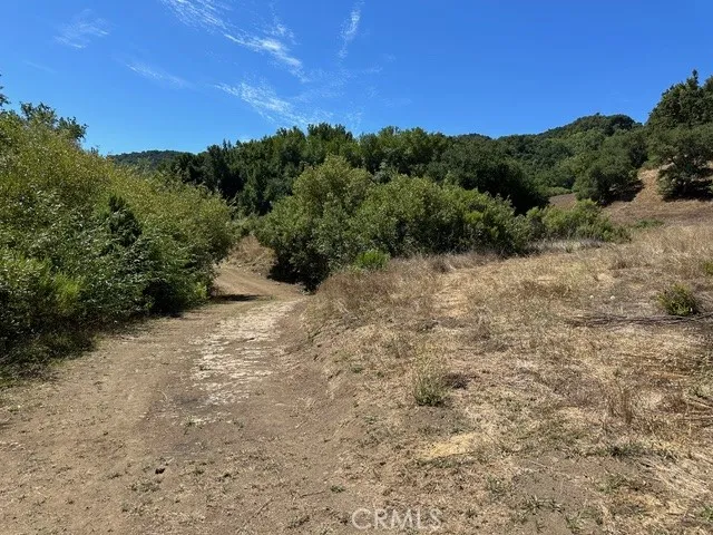 0 Old Creek Road Cayucos, CA 93430 - Photo 6 of 19 Access to the majority of the acreage