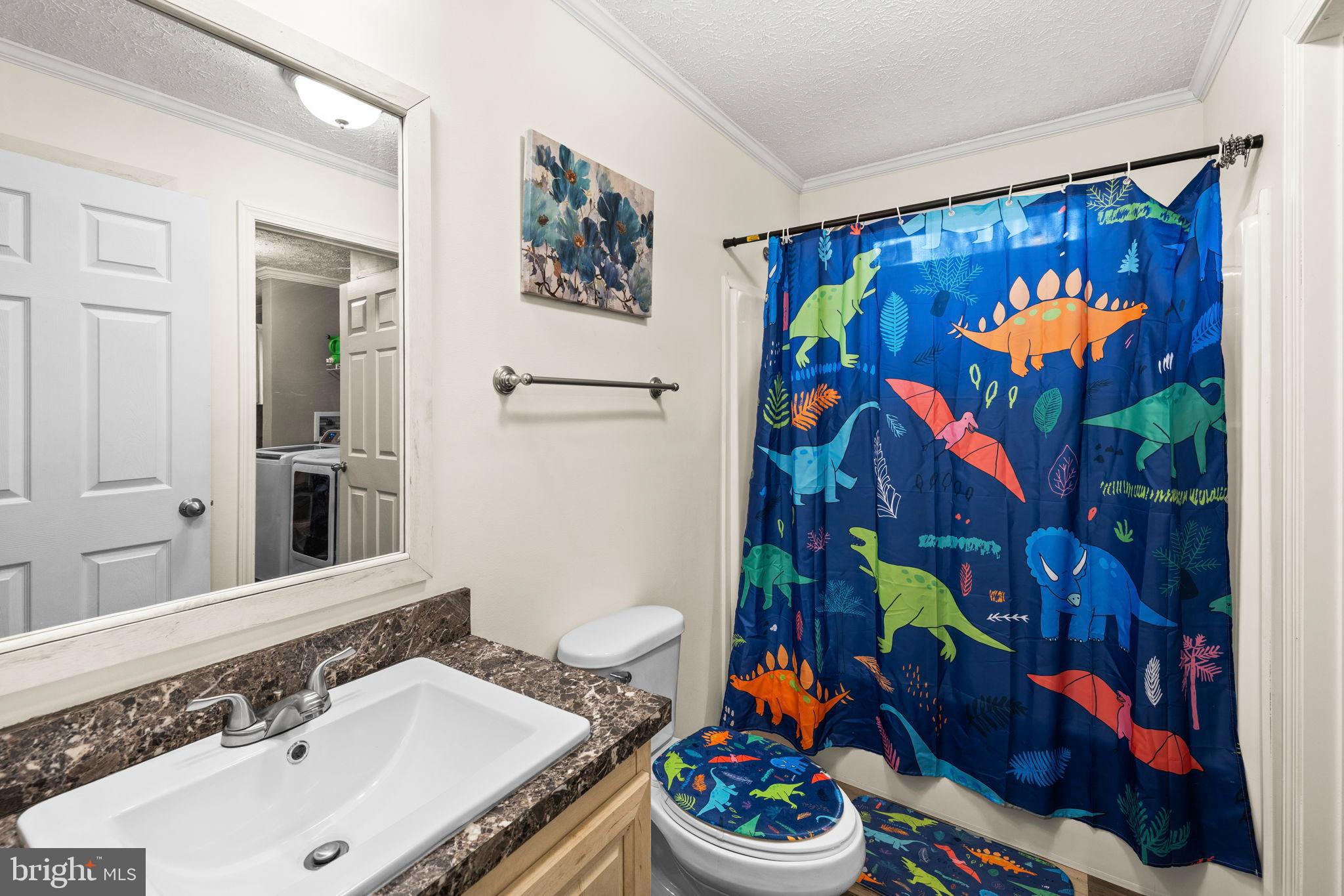 13115 Arcadia Road Woodford, VA 22580 - Photo 26 of 44 a bathroom with a sink mirror and vanity