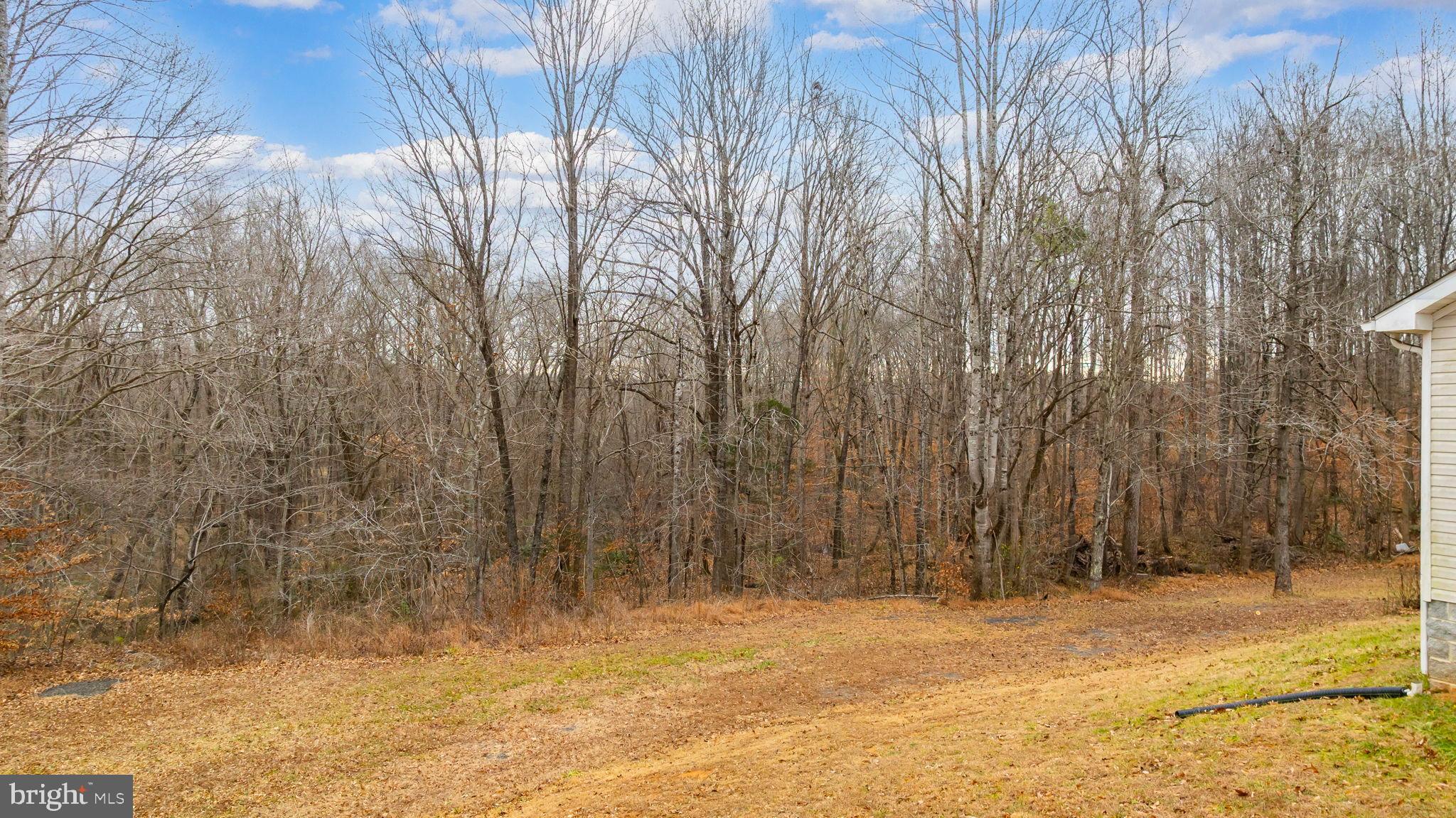13115 Arcadia Road Woodford, VA 22580 - Photo 33 of 44 a view of a yard with trees