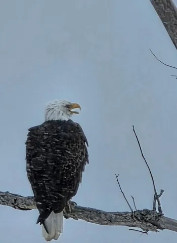 $629,900 | 985 North North Main Street, Winterport, ME 04496