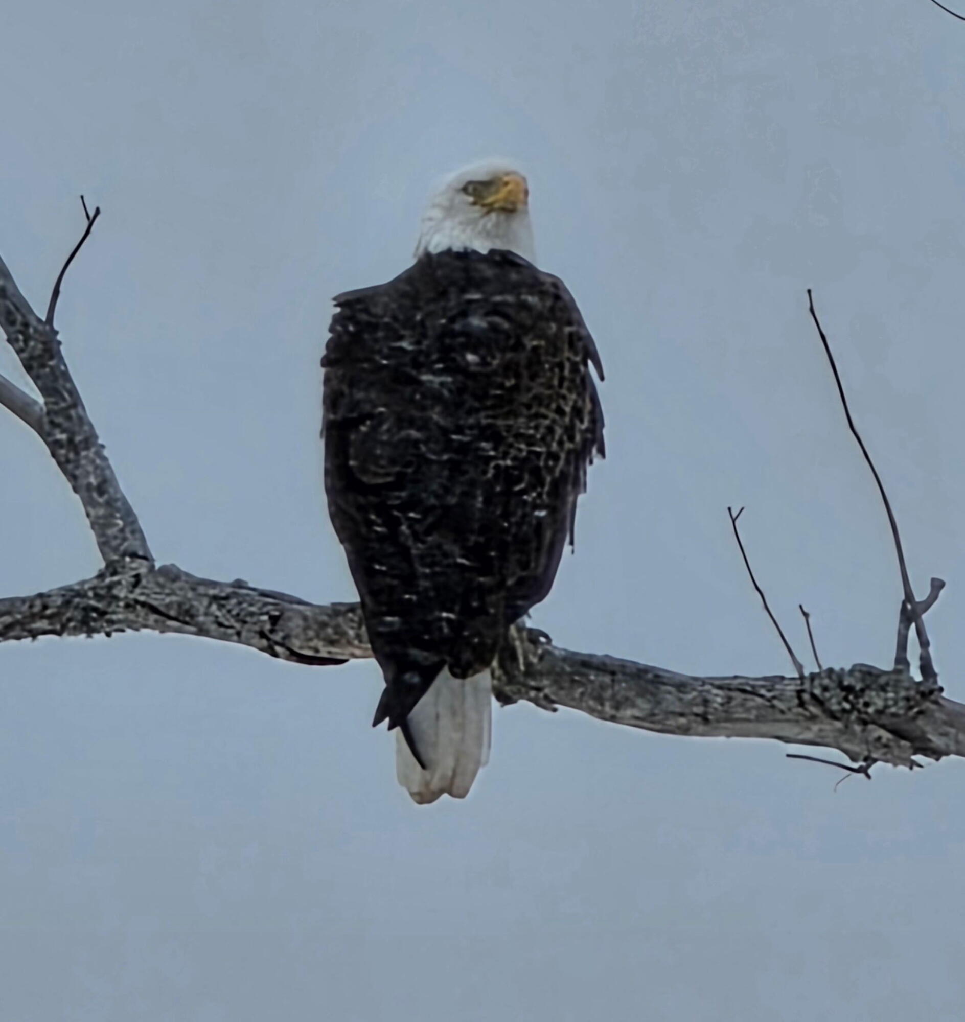 985 North North Main Street Winterport, ME 04496 - Photo 20 of 79 485726651915000500