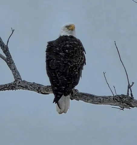 $629,900 | 985 North North Main Street, Winterport, ME 04496