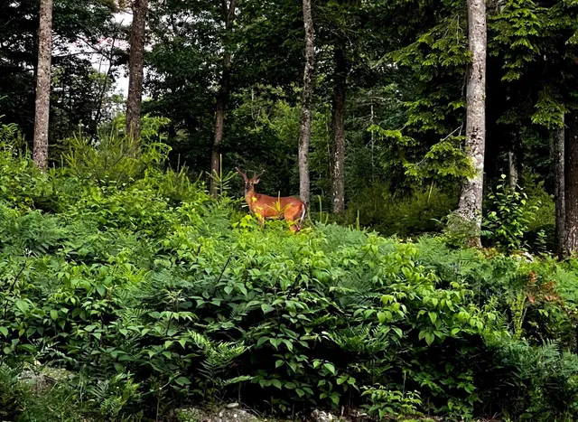 $629,900 | 985 North North Main Street, Winterport, ME 04496