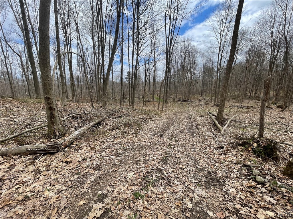 3442 County Rte 57 Volney, NY 13126 - Photo 22 of 24