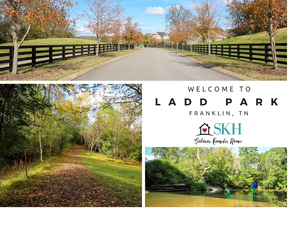 147 Wise Road Franklin, TN 37064 - Photo 46 of 49 Gallery Image 46