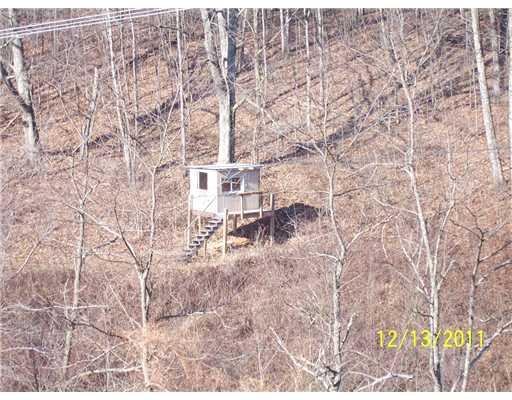 378 Morris Run Road Spraggs, PA 15362 - Photo 3 of 9 Other.