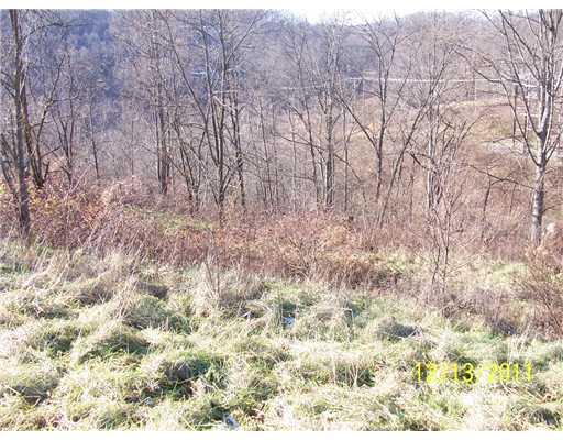 378 Morris Run Road Spraggs, PA 15362 - Photo 4 of 9 Other.