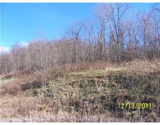 378 Morris Run Road Spraggs, PA 15362 - Photo 5 of 9 Other.