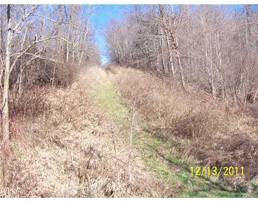 378 Morris Run Road Spraggs, PA 15362 - Photo 7 of 9 Other.