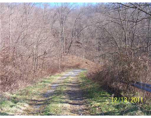 378 Morris Run Road Spraggs, PA 15362 - Photo 8 of 9 Other.