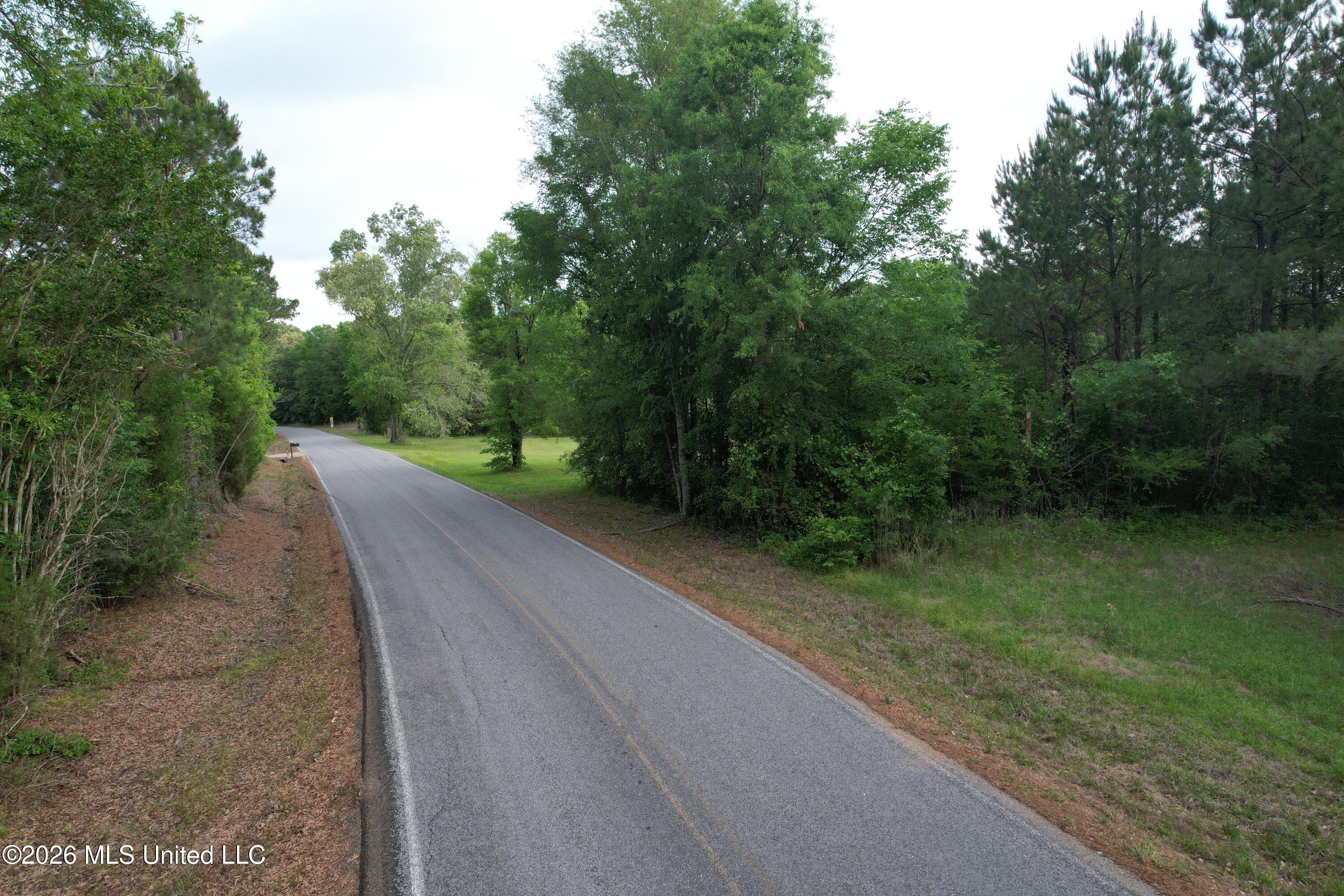 Haynes Chapel Road Pelahatchie, MS 39145 - Photo 1 of 19 DJI_0317
