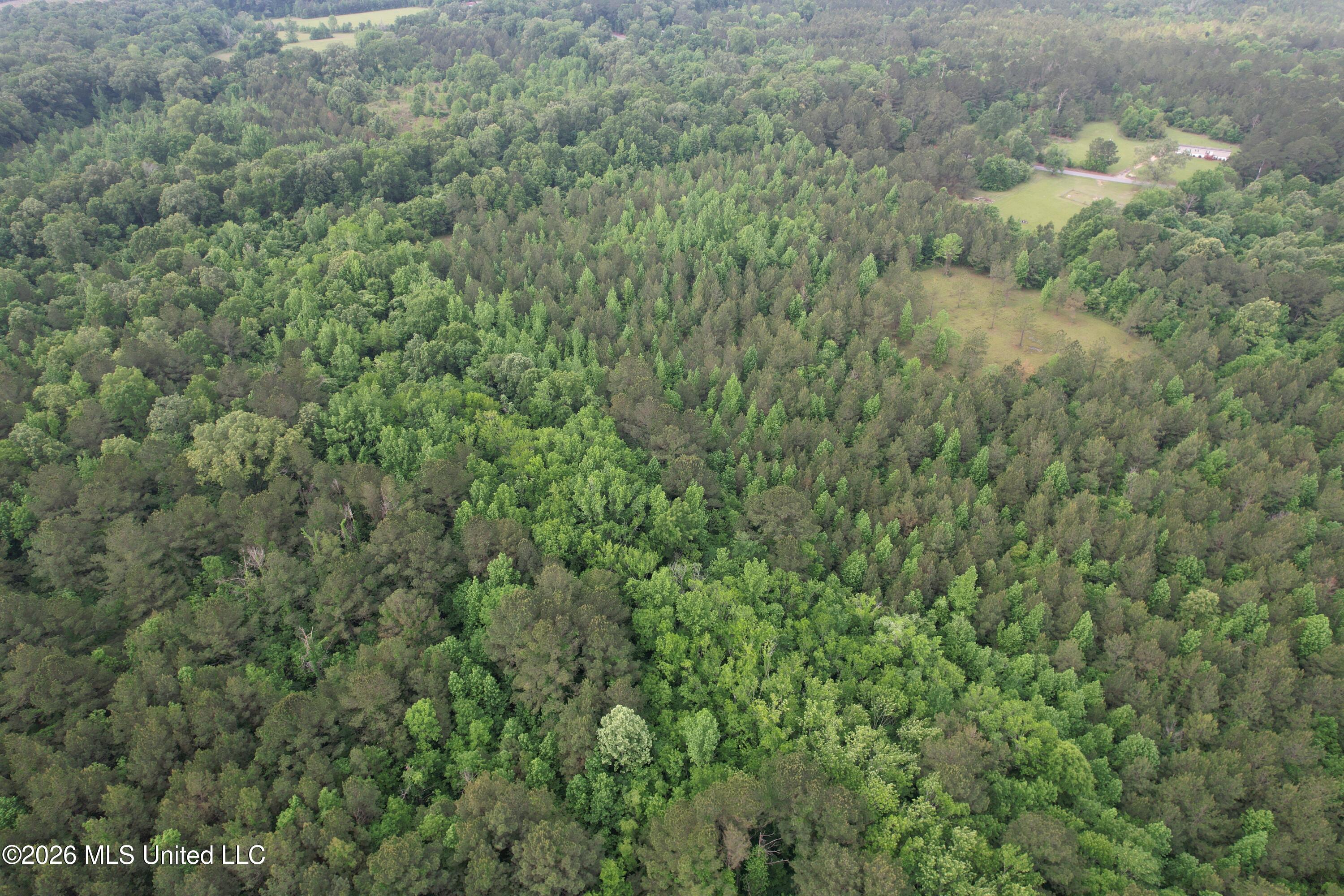 Haynes Chapel Road Pelahatchie, MS 39145 - Photo 8 of 19 DJI_0329
