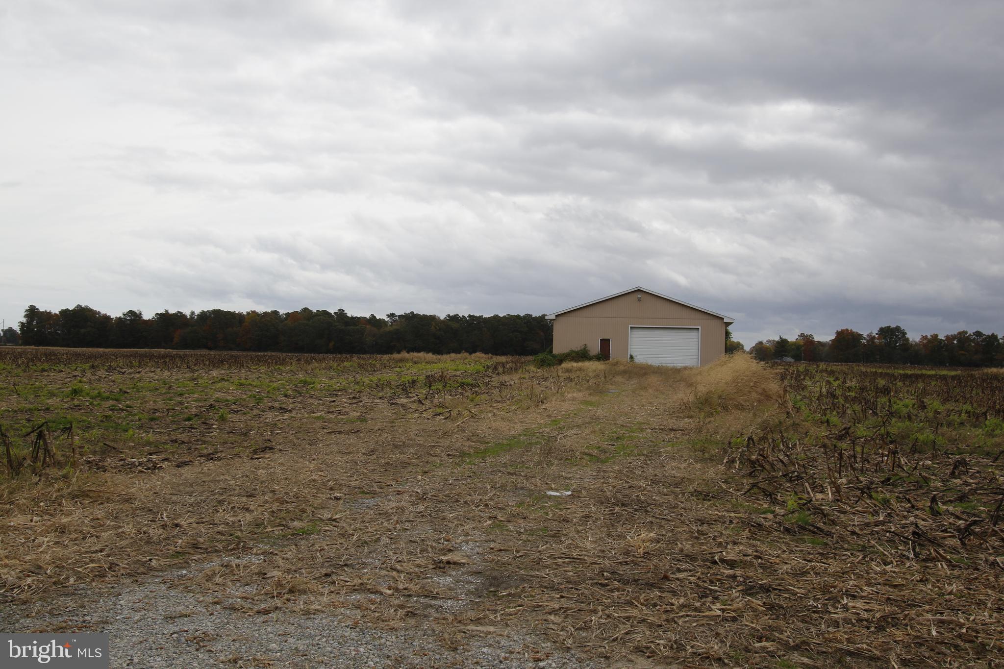 7685 North Union Church Road Milford, DE 19963 - Photo 8 of 22