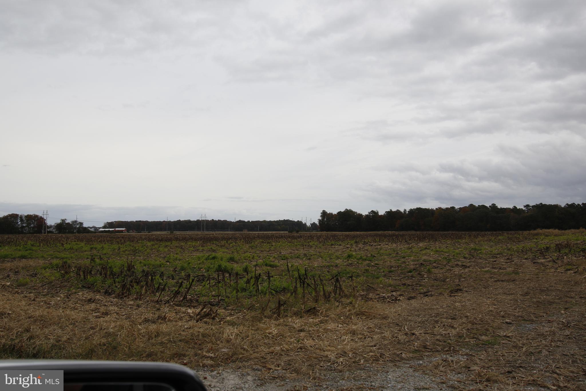 7685 North Union Church Road Milford, DE 19963 - Photo 10 of 22