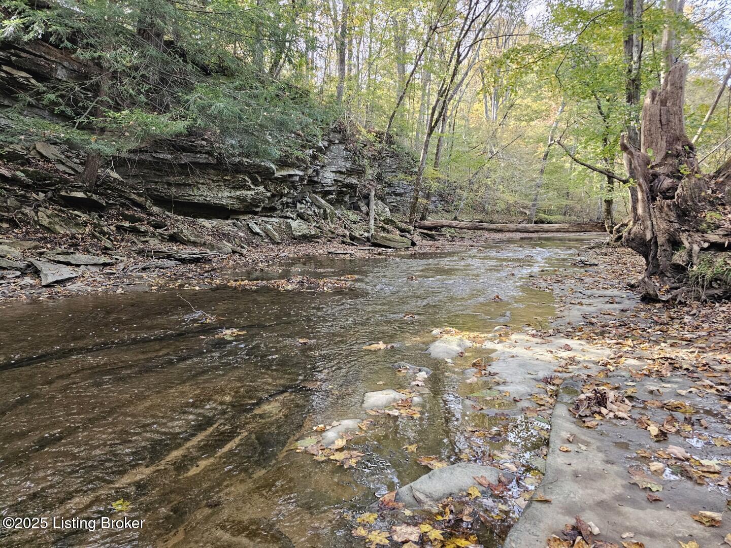 2257 Doc Ward Road Summersville, KY 42782 - Photo 51 of 60 20251024_150206 - Copy (Large)
