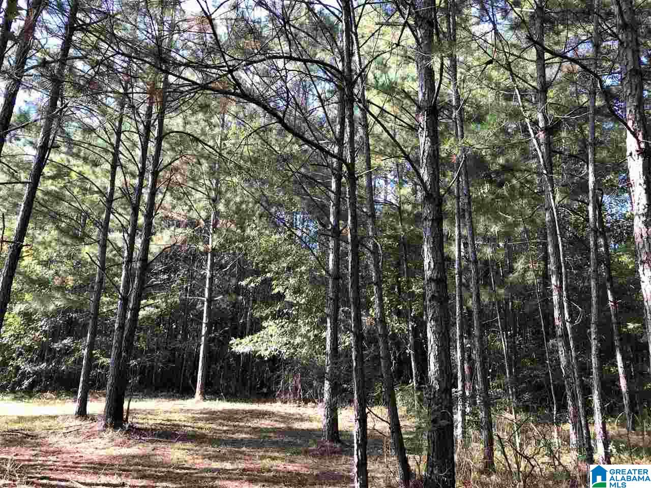 1210 Sardis Road Ashland, AL 36251 - Photo 17 of 19