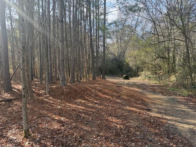 0 West Drive Rome, GA 30165 - Photo 2 of 10 a view of outdoor space with trees