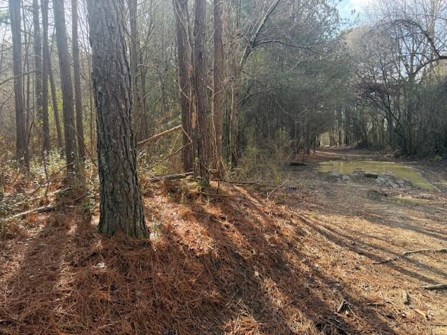 0 West Drive Rome, GA 30165 - Photo 3 of 10 a view of a yard with trees