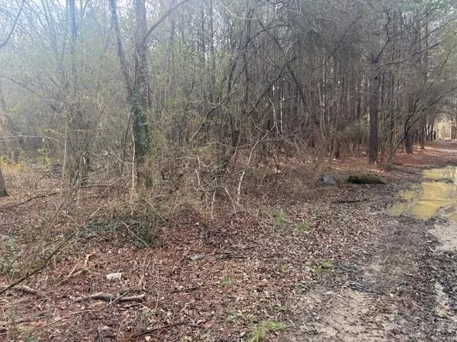 $15,000 | 0 West Drive, Rome, GA 30165