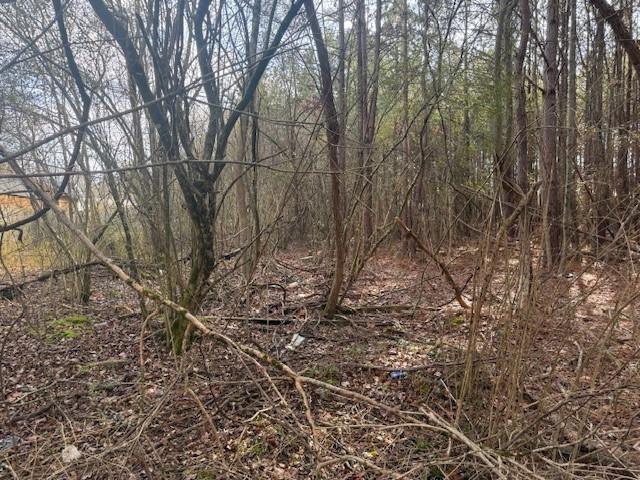 0 West Drive Rome, GA 30165 - Photo 5 of 10 a view of a yard with a tree