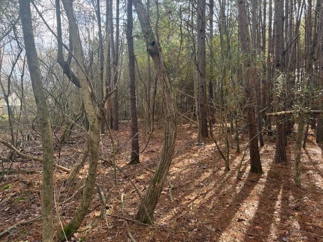 0 West Drive Rome, GA 30165 - Photo 6 of 10 a view of forest