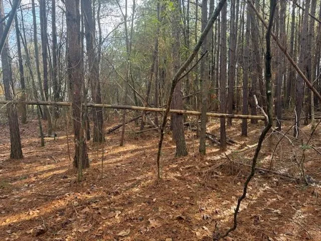 $15,000 | 0 West Drive, Rome, GA 30165