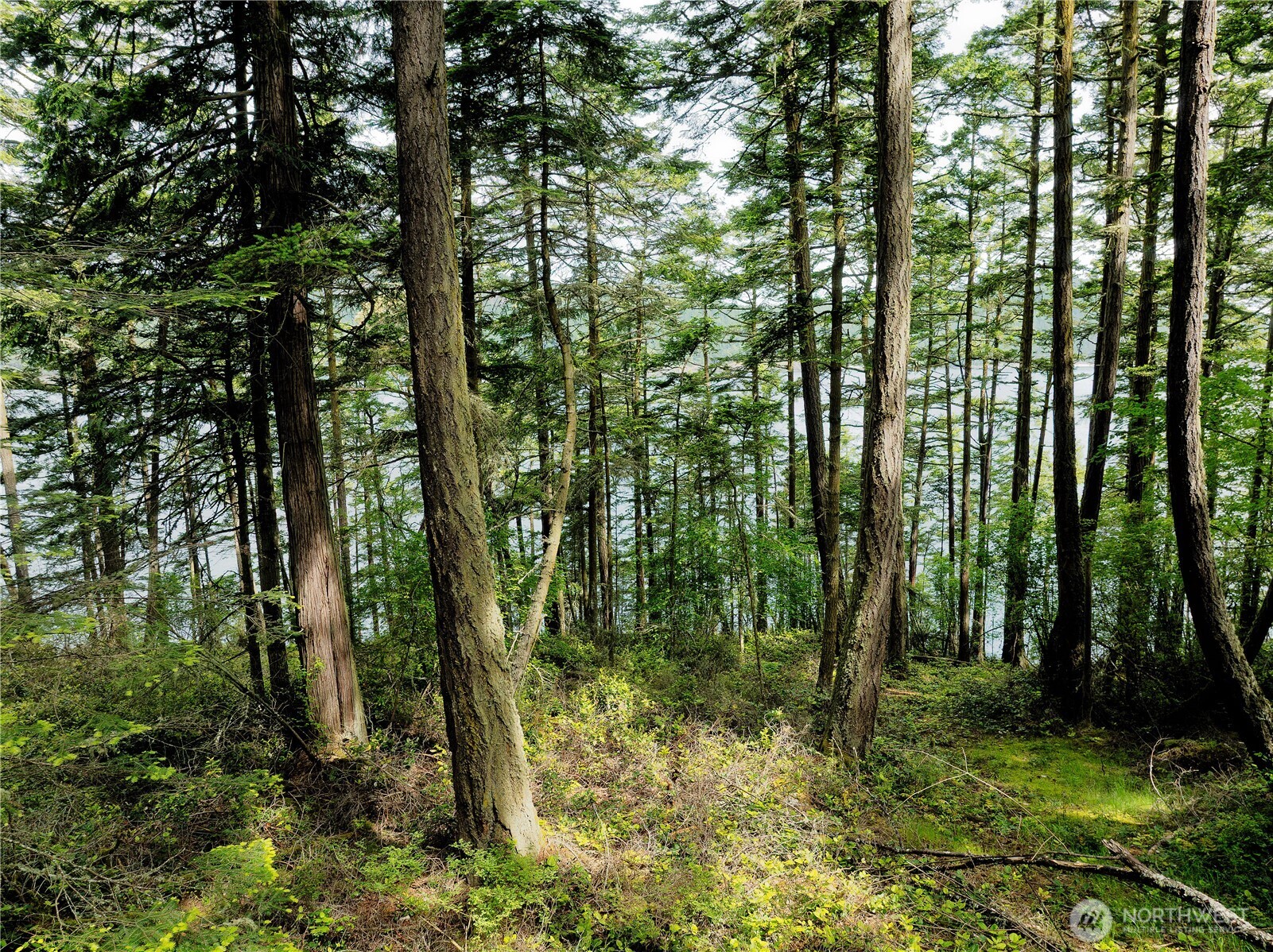 7 Pass View Road Anacortes, WA 98221 - Photo 4 of 6 a view of outdoor space and green space