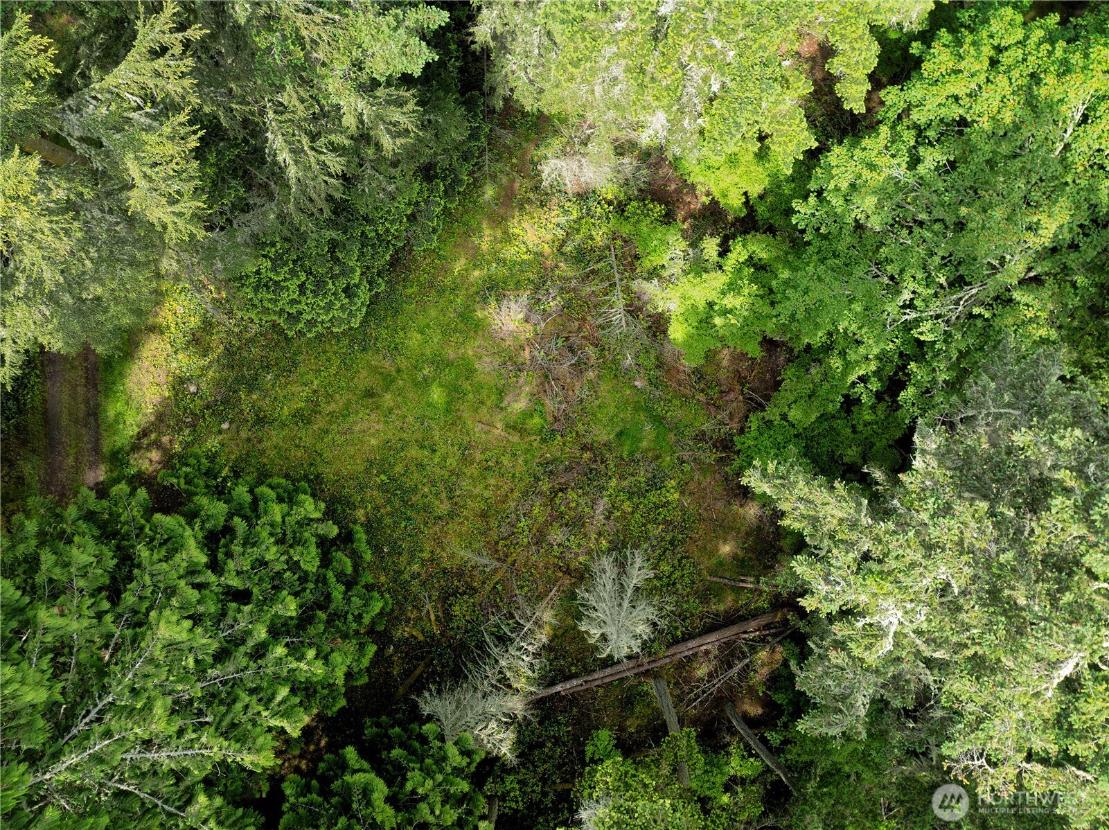 7 Pass View Road Anacortes, WA 98221 - Photo 5 of 6 a view of a lush green forest with lots of trees