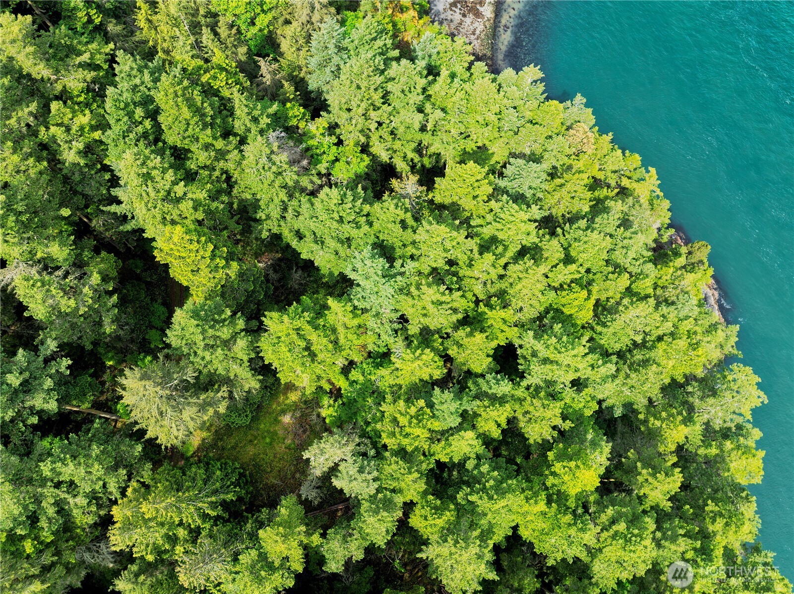 7 Pass View Road Anacortes, WA 98221 - Photo 6 of 6 a view of a lush green forest