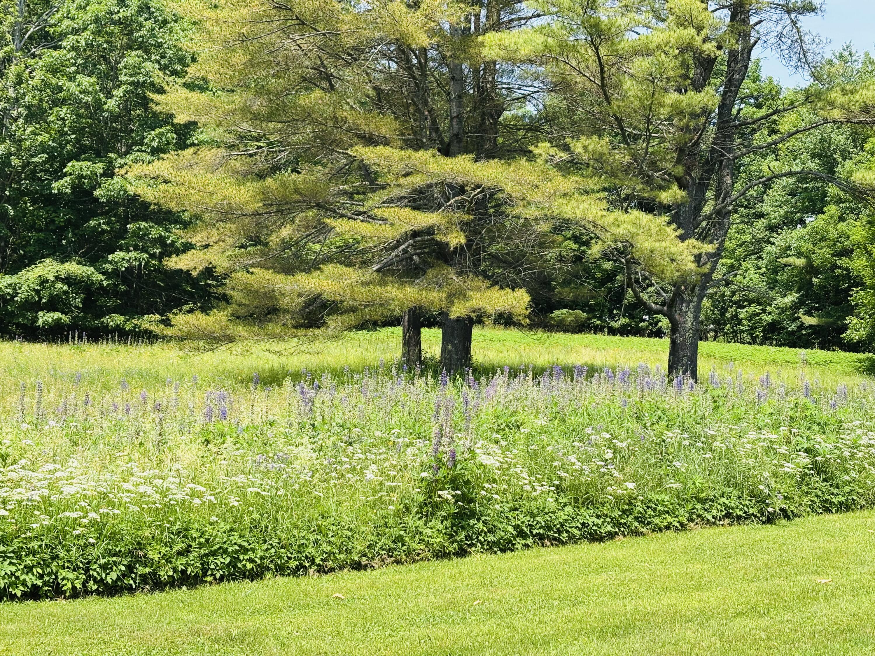 63 Pleasant Street Hampden, ME 04444 - Photo 10 of 61 IMG_6223